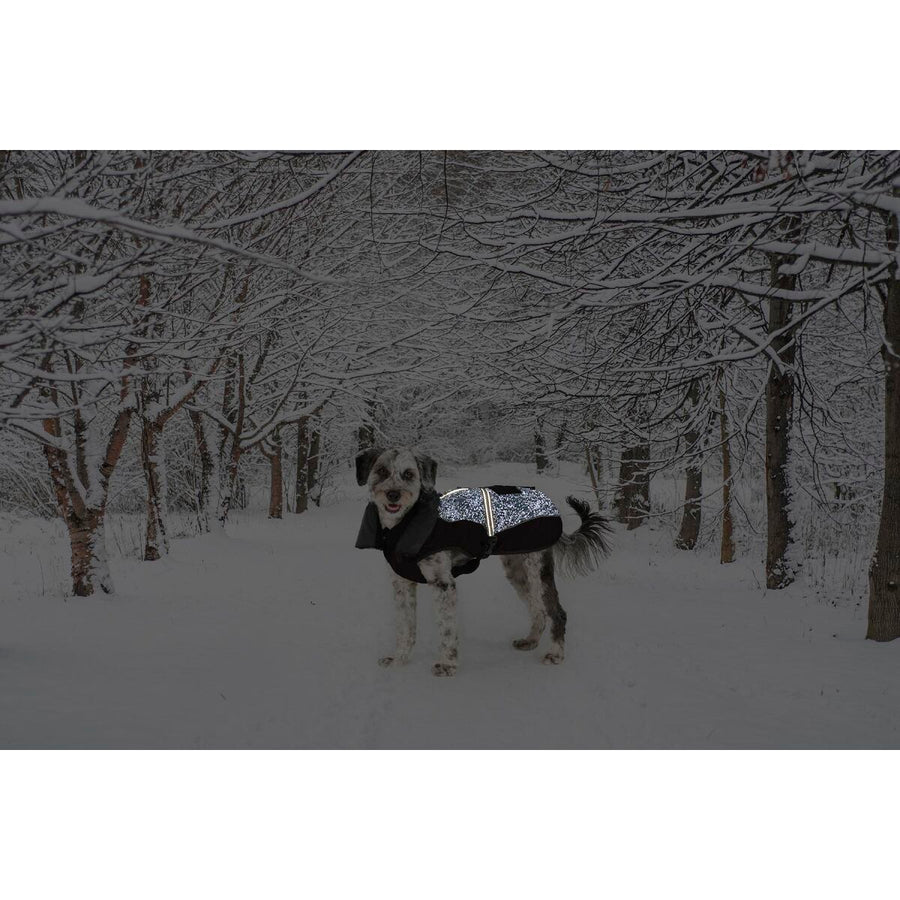 V5HB98D928D7D7E70DBDA1989684C0B8764R5332484P2