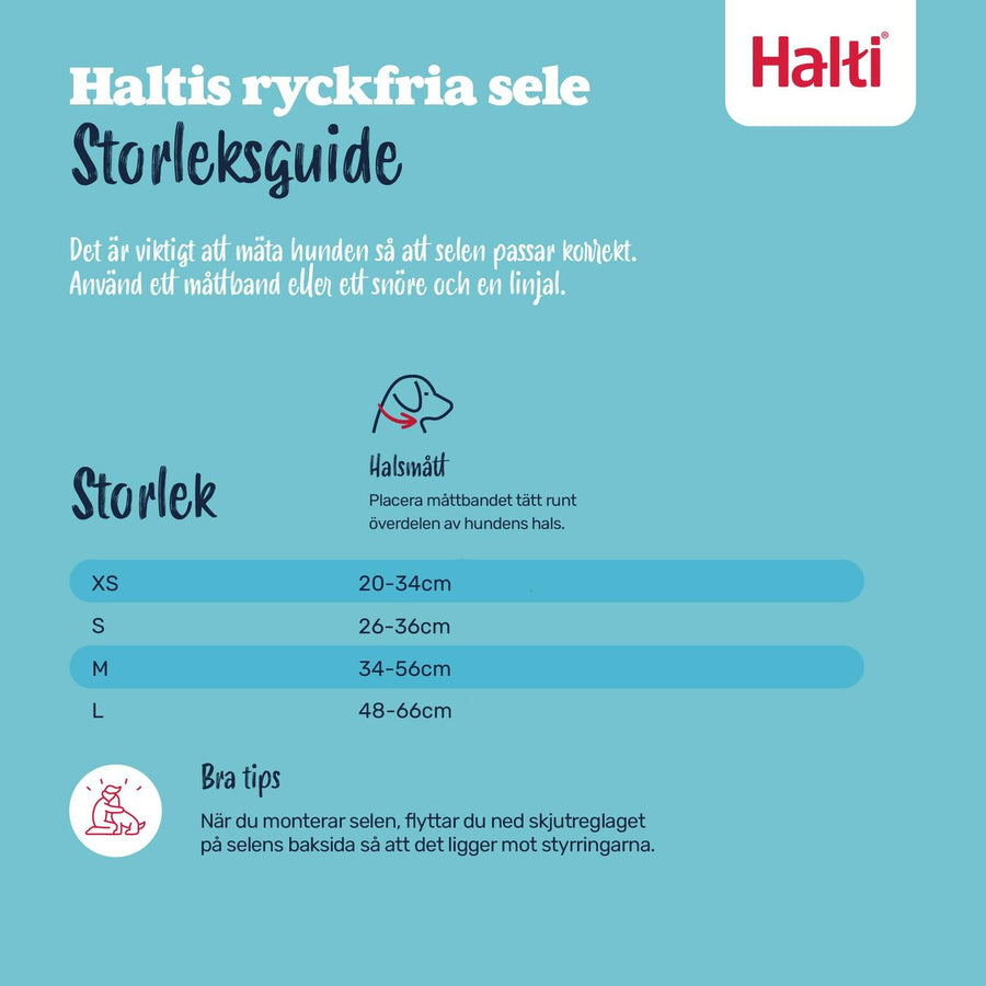 V2H7E6BC02EEB53014D29DDF1B1FC796566R7523764P5