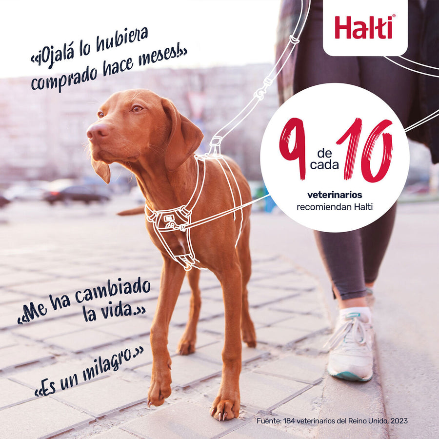 V3HFC726089C124F4653BF4BF00E2544AFFR7523714P5