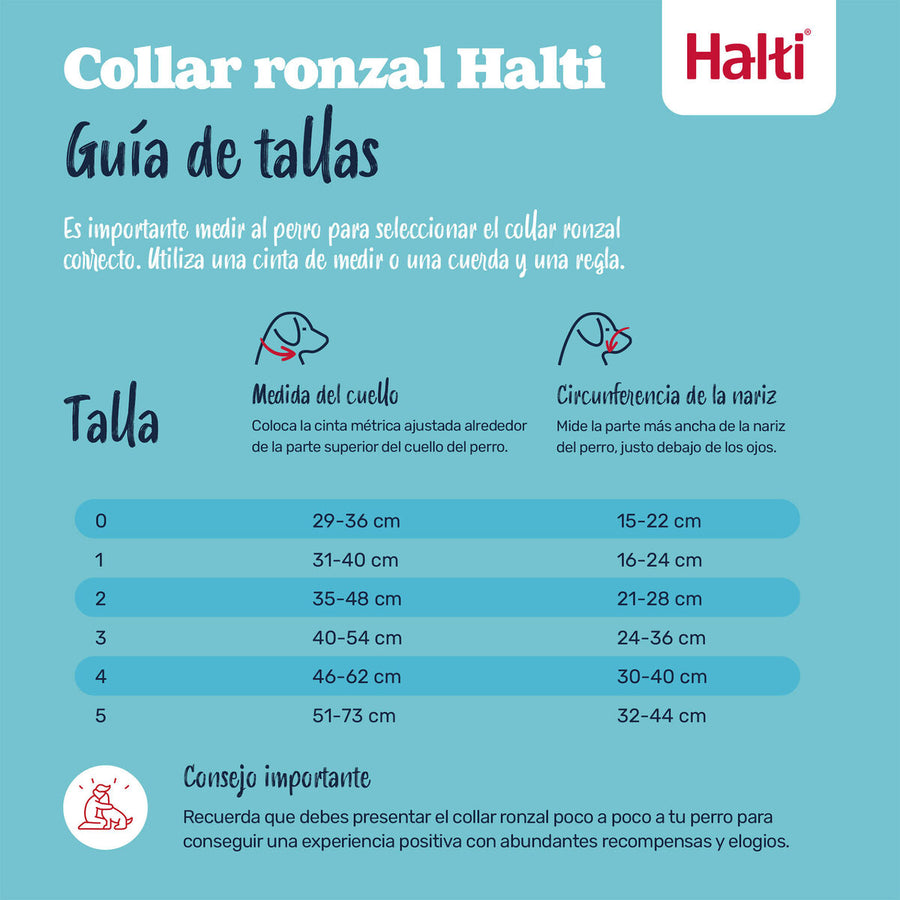 V2HBAB5F9A89B2BDE6550A263AEA61FE25AR7523892P6