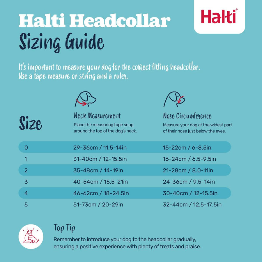 V2H5EBB12354F3B13BE6219CEAA80F54C26R7523842P5