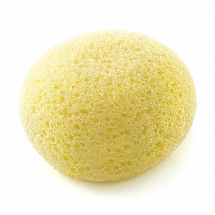 V3H9B8883155555EEA0AC912D6EEB9AF065R5773636P6