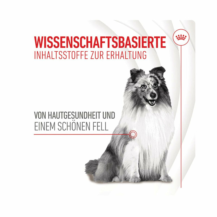 V3H33202975C2B25EB4DDF66A2DFF4892CFR6646633P7