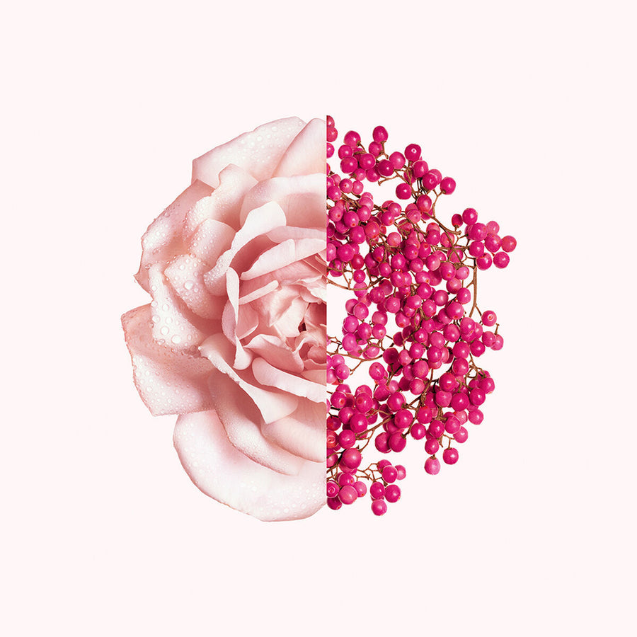 V4HAAC22B406C090608BE8CFC199168D959R6215014P3