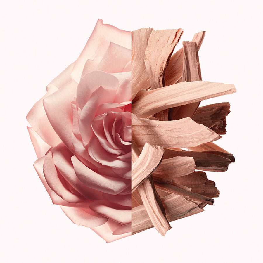 V5H423A9BBCDBA73855D51EB27AF6D251FAR5674696P4