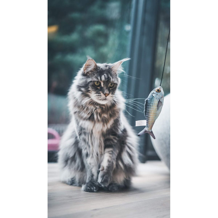 V2HF670EB6B02F71CEFBD77137ADFA2FC7AR7436895P7