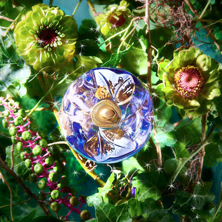 V2H211124B3A84B6073E47B29B850597BAER7550222P4