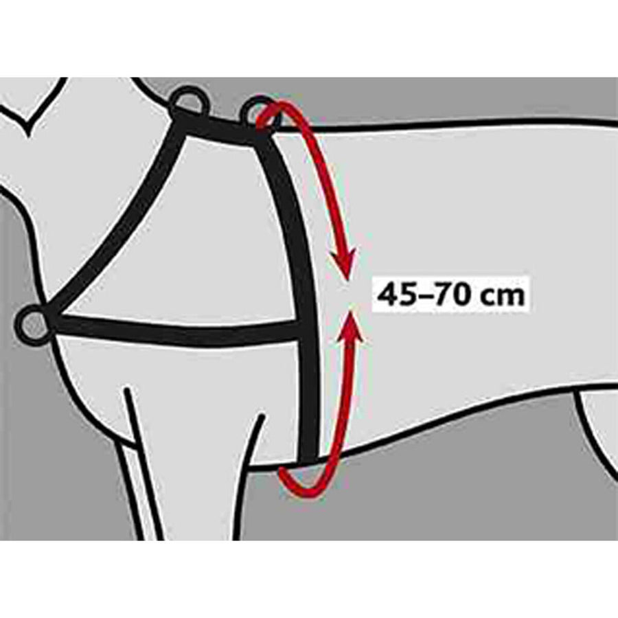 V7HDD7AB7C69E423EC9A6F295B3D8969F72R7441863P2