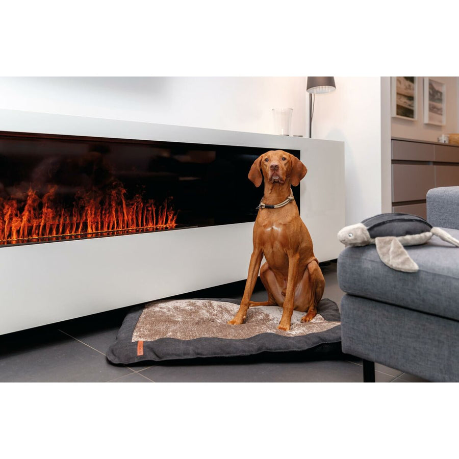 V6H83B54A80C6C8DD6B3B6CC65A96222994R5330487P4