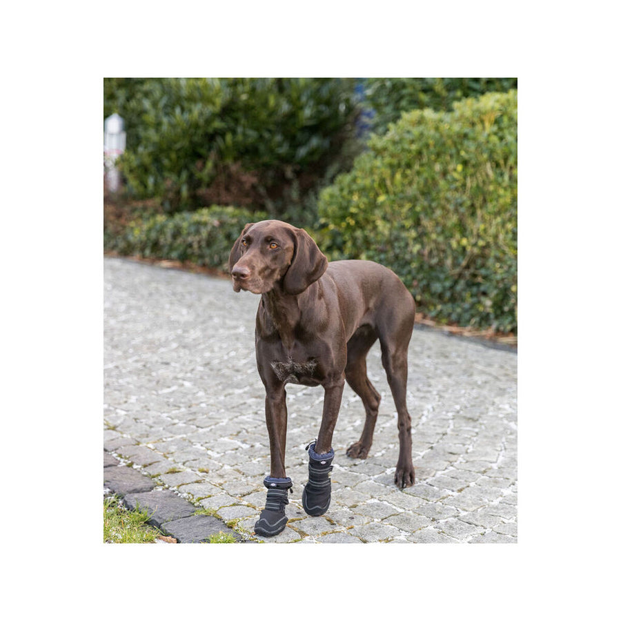 V5H96E119FCA32BCCBBEA6823F5FC8325C1R7455284P7