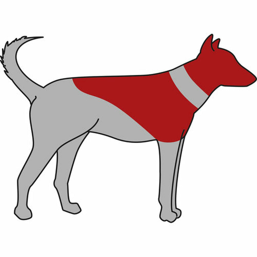 V6H2BFA63C84274DCFF17D956128289AD16R7440319P6