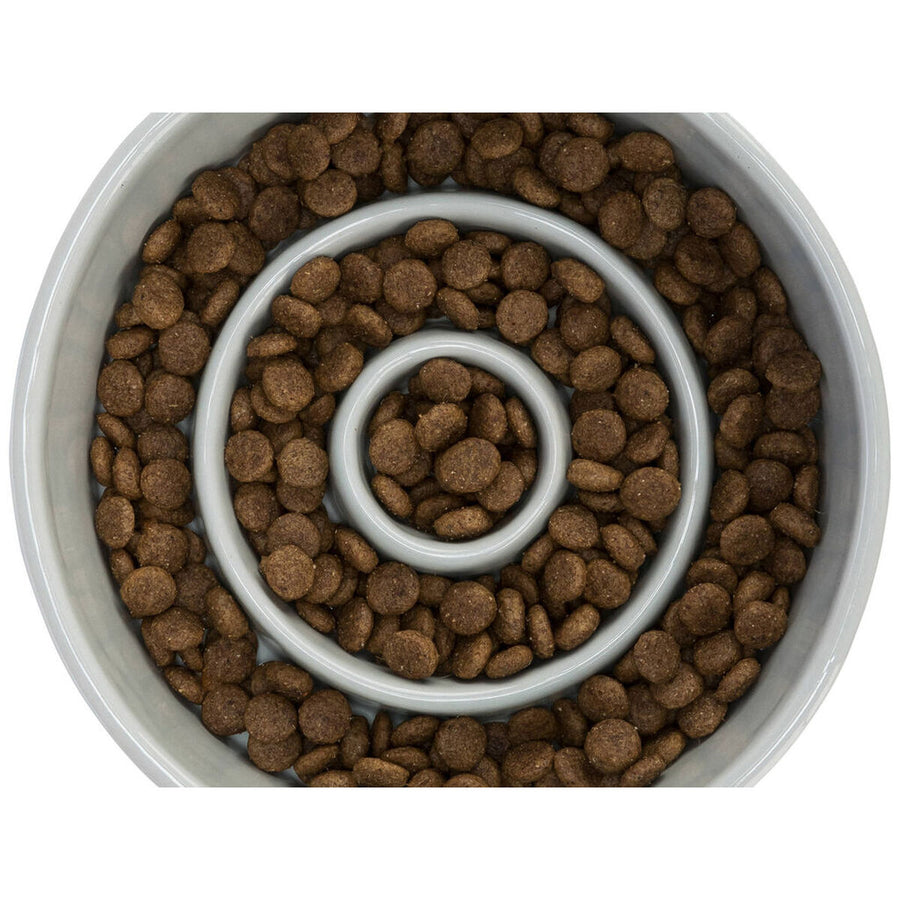 V8H32C8162D5000A588F5EF3090BA1A2159R7455370P7