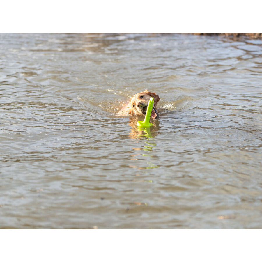 V7HD461802D8E9D4B9F6737655109C2538FR7443182P5