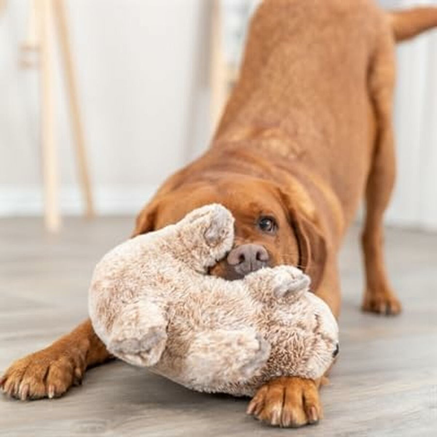 V7H14BA42EA9283B57F2A4833B69632EC1DR5432027P3