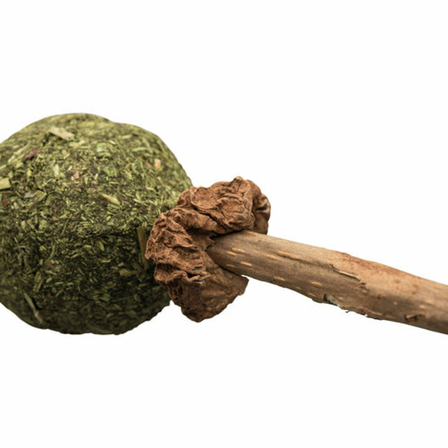 V4H811E191092855BC441AB470AA04169CDR7444842P4