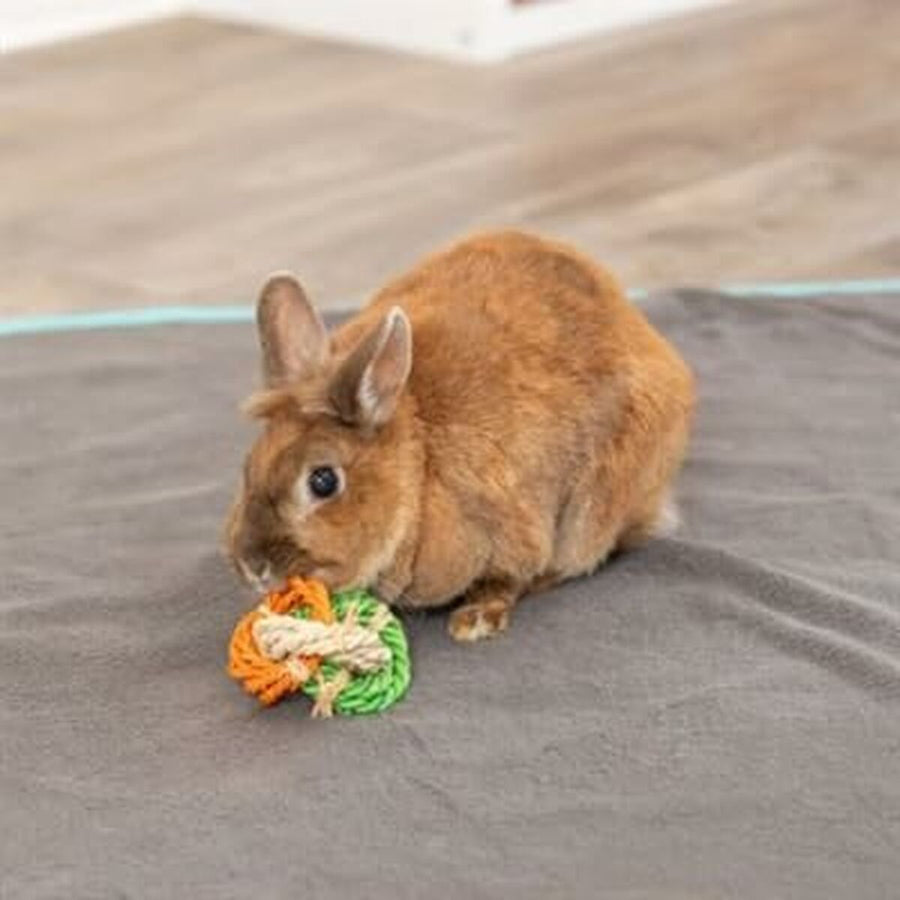 V6HD59376366369C0EF399C3DD5AFFB7893R5448864P3