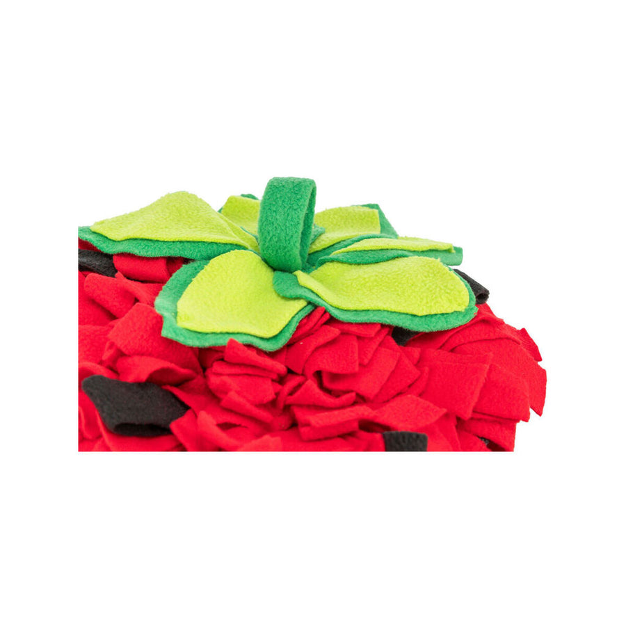 V5H7708D06436F0D557FCE67326D7338BD7R7459565P3