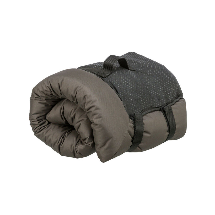 V4H03190EF52136F3DEF0081CFEF4842EB1R7463184P3