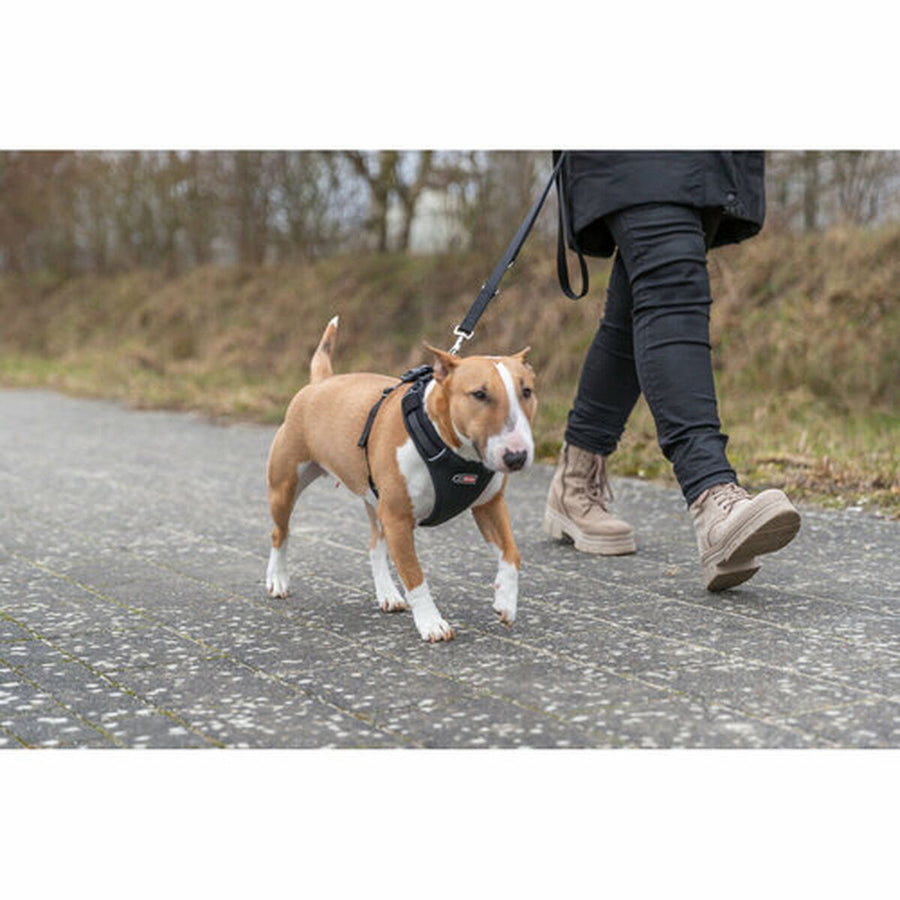 V4HC6B09B8BF9DB09895AF1B130D8F47FC4R7450243P8