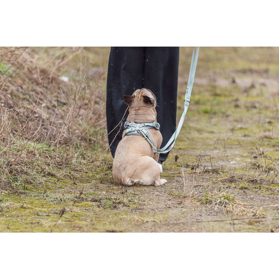 V4H510259E58214CB573FB872DC9D168C49R7463484P5