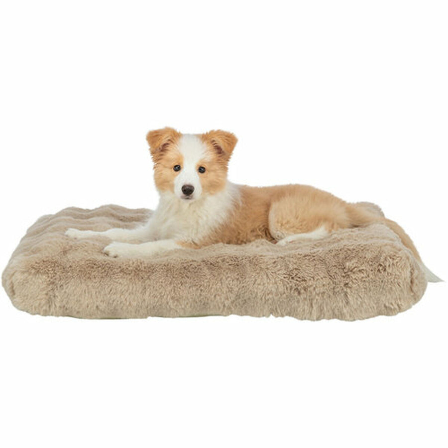 V4H6107E9F4E6314DE8D61278E480BC70CCR7463543P4