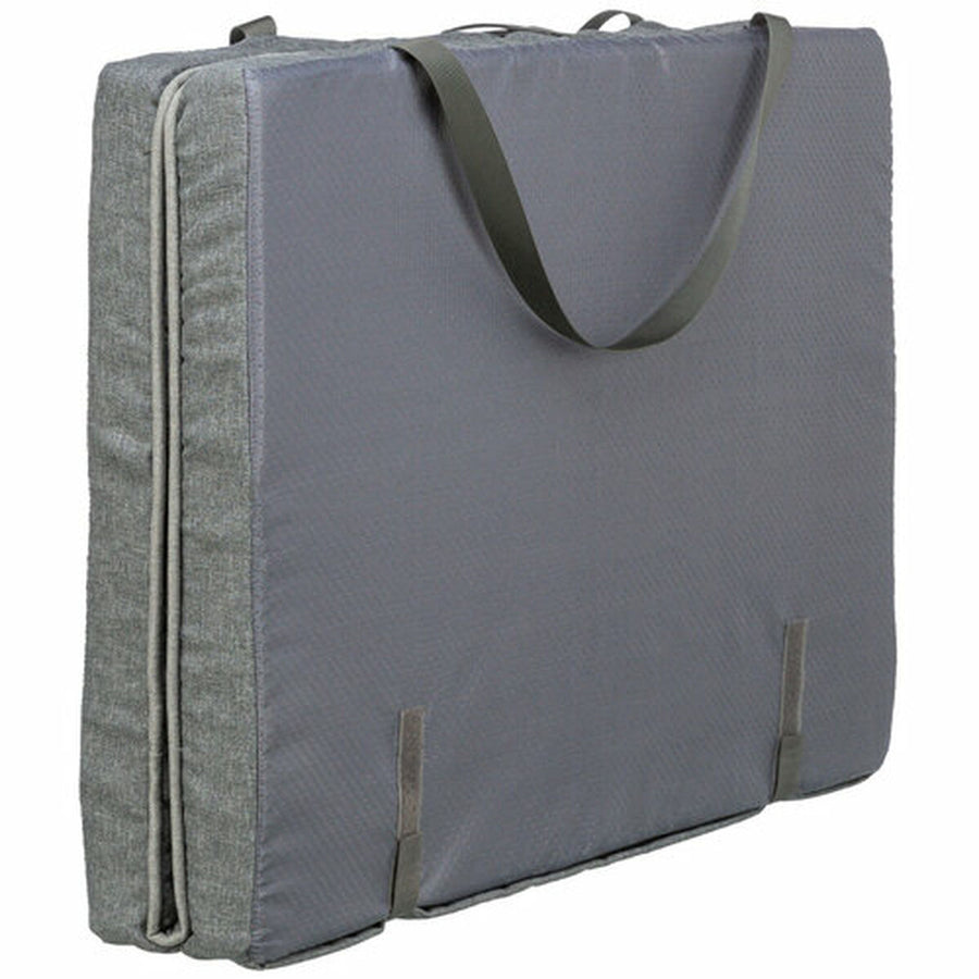 V4HAA857C1DC79D461B2568A528539A7B00R7463331P10