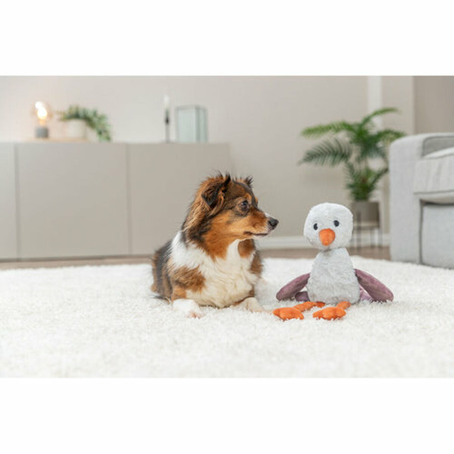 V5HA869399C8245C5A350559451BE16E88AR7463443P8