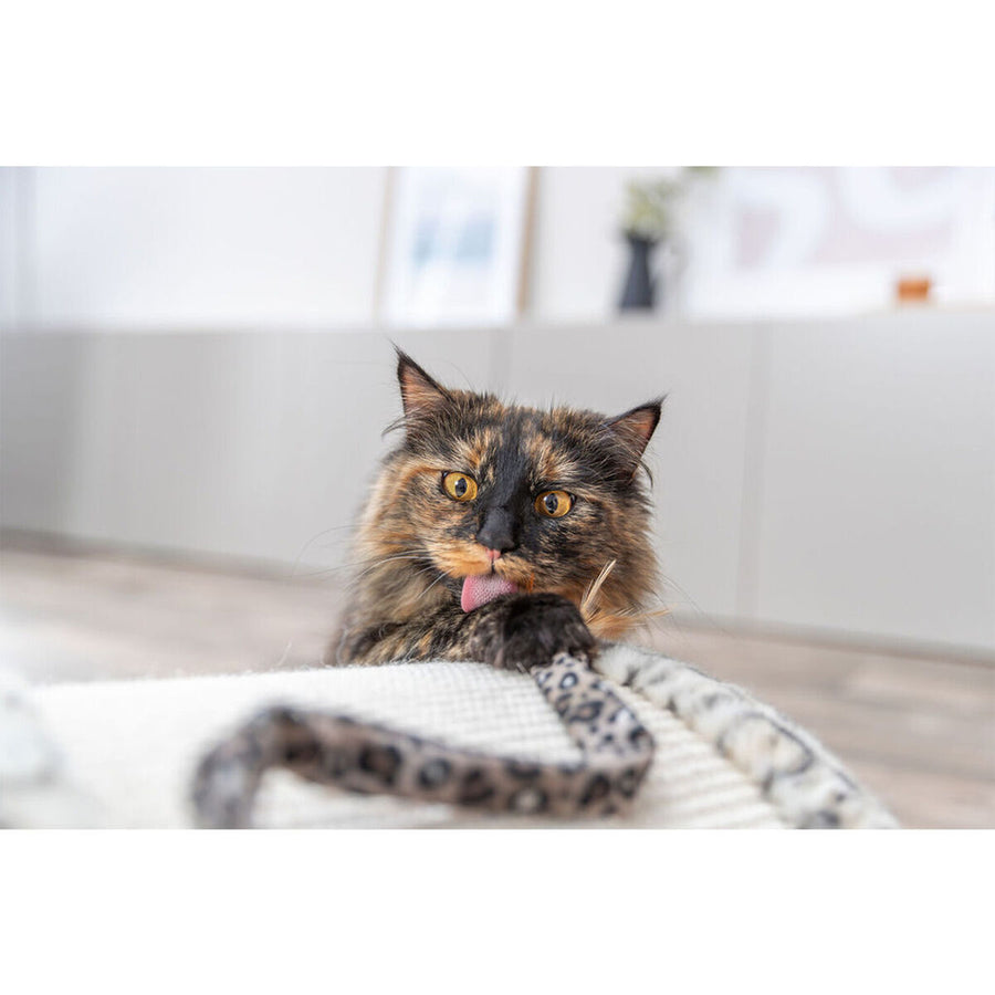 V3HA822D48794574151F126AB7E6123242ER7431711P7