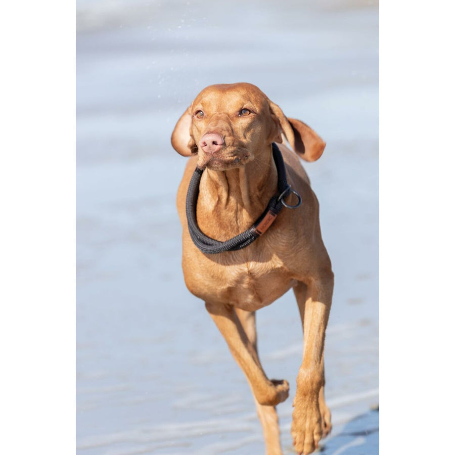 V6H85D7A35EF5E3BDCE917320A56E3D57D8R5330169P10