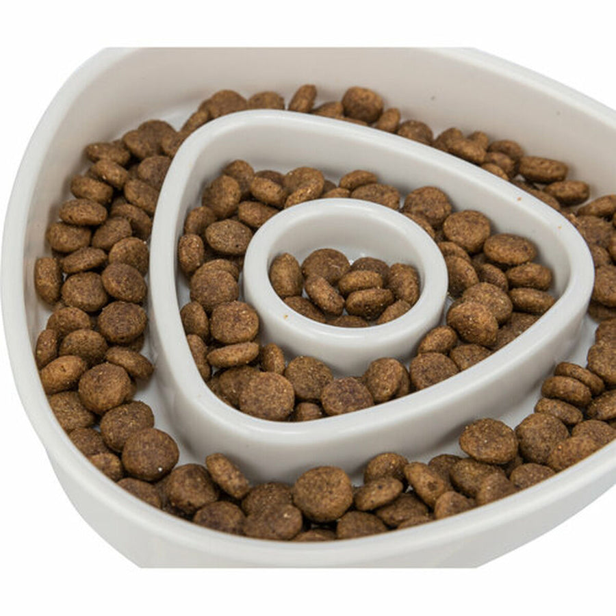 V9HBFB2D335EB8DF73D50190D2F23719CA8R7455491P8