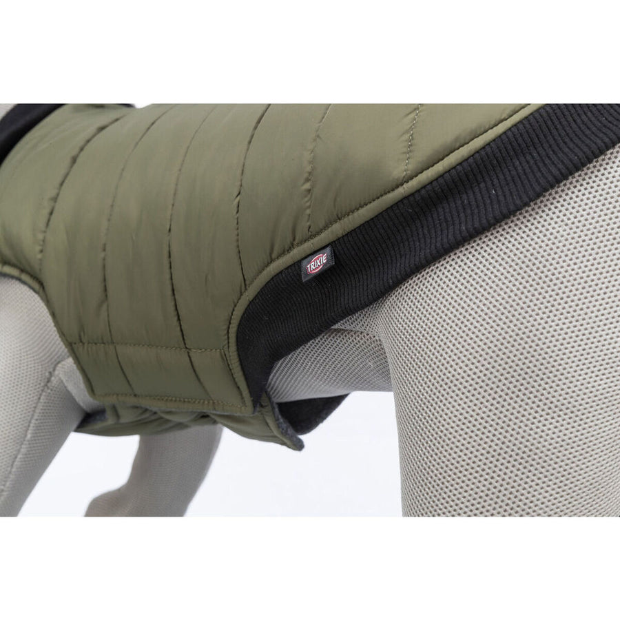 V6HB1CB1B6258F521DF6217FCB174FA9170R7455165P7