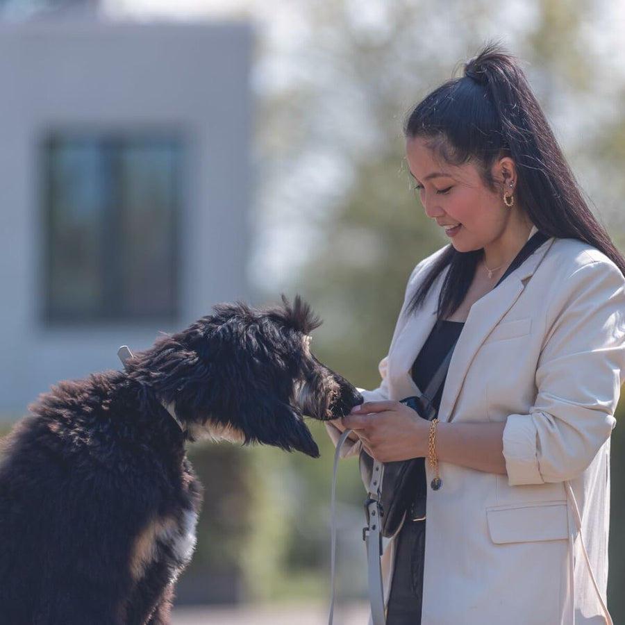 V6HB872DEA5AE17BEE07181F92D4C807D72R5329848P8