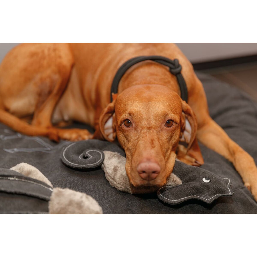 V6H001B47C4443F5736F4F7C6D2DF67B019R5330763P4