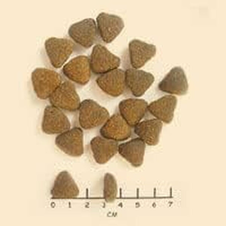 V3H90EDA127D071DE5879EA1EFFFD35C552R6454201P8