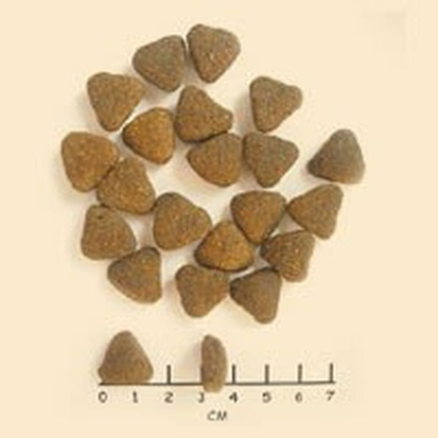 V3H57D50AD62D34411879ECFA0837A1A994R6454195P2