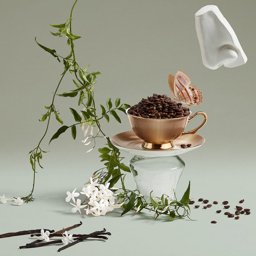 V2H8E9DFD9EF2707DA4FE96F8F5A819418DR7501699P5