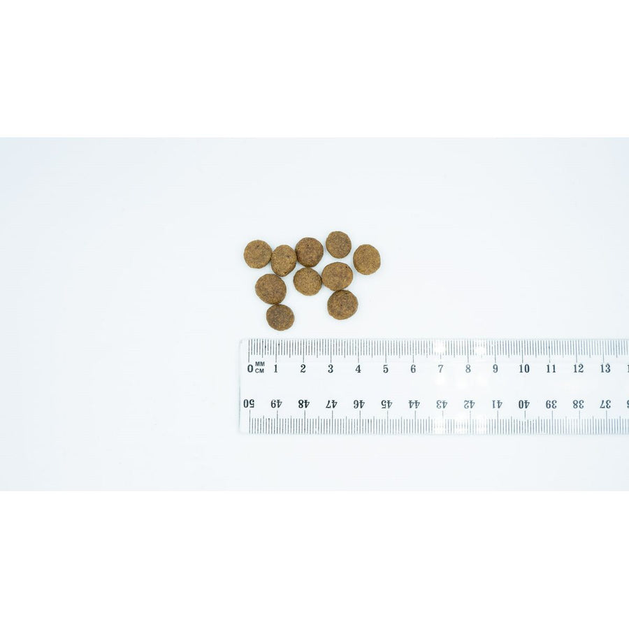 V3H6B0A66CE97F82C60DC9103E388A38577R6200980P2