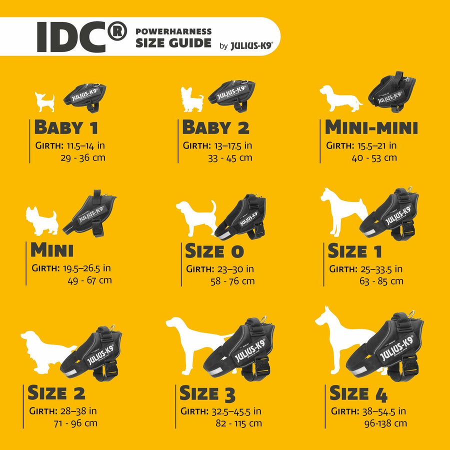 V6HD62B6173F4652DB7AC967E3CAF0ACA1CR5329076P2