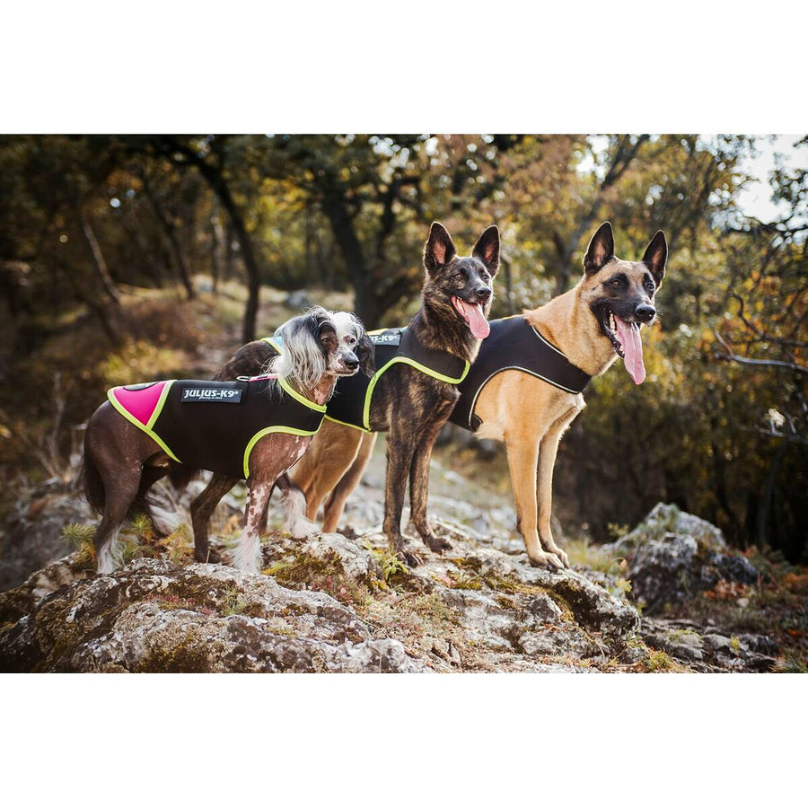 V5H40232FB6CEDCF54087653F620EEDCC81R7445364P5