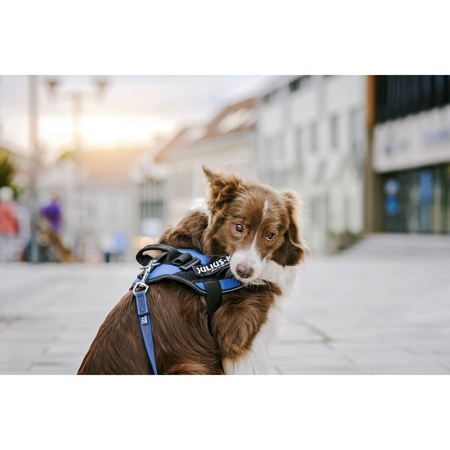 V5H6D7D84E15CFF22721EE96D31EF4F595FR5333072P4