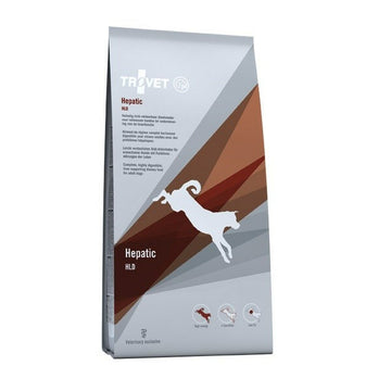 V4H1C79E970292A16B4D7FCC4A785D2AE0ER5850785P1