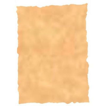V6H907C32387D70B118F1153E768C58E4BCR4220504P1
