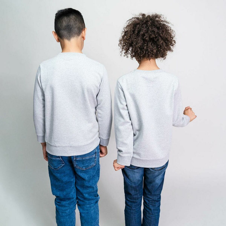 V11HABBD88A5433C9DD3423442A85AF37C7CR4011639P2