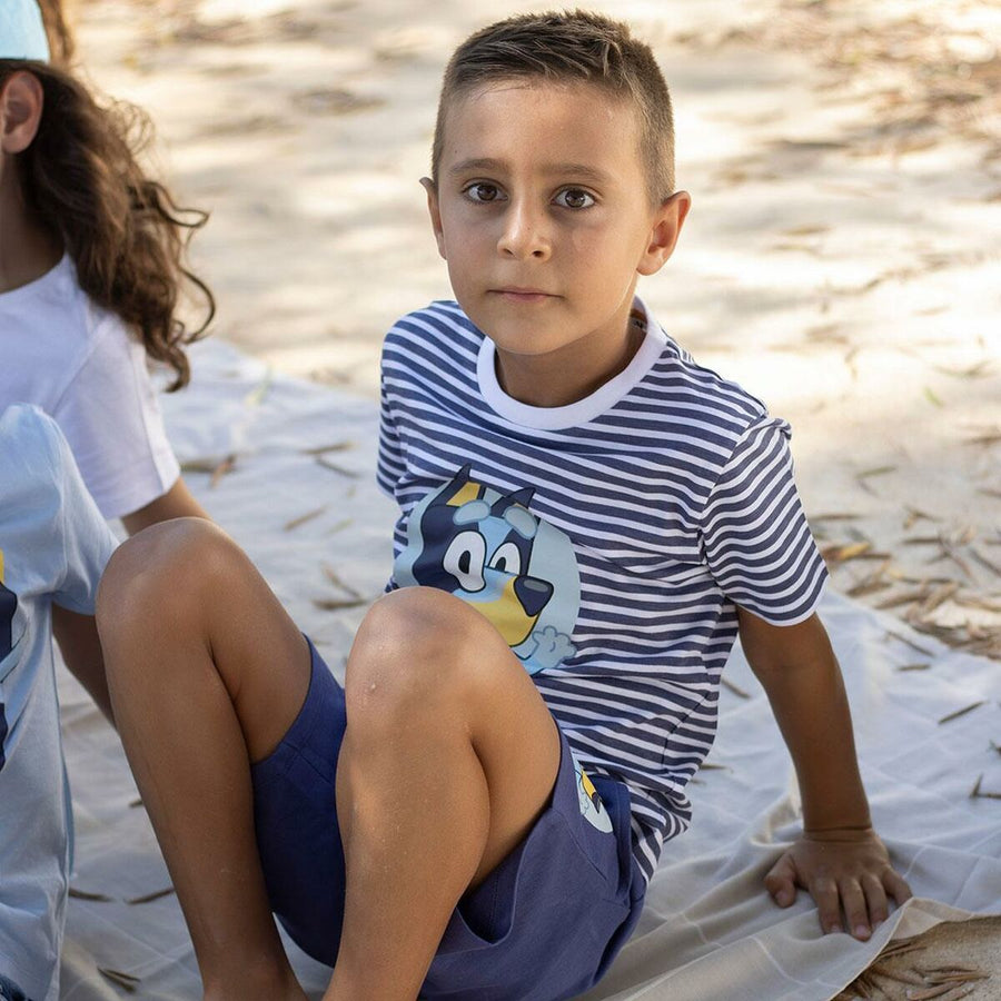 V4HEE5C5FFD1126C0FAA9BB0C4DF013A884R6706563P3