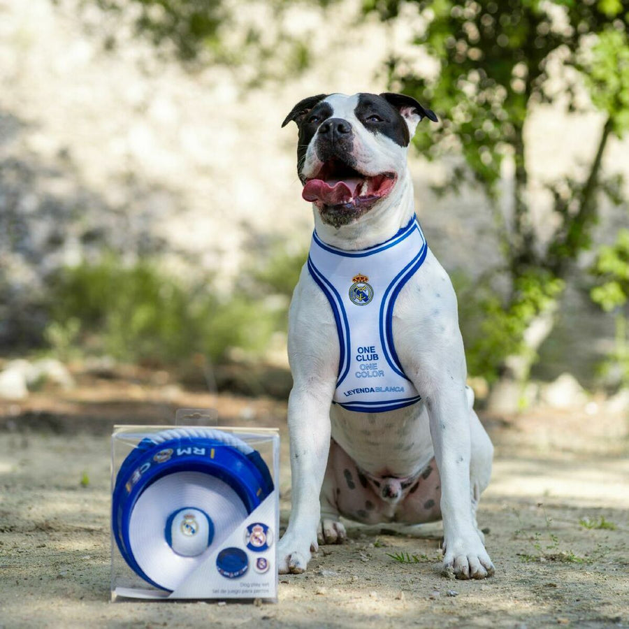 V3H677B3ED1606F718282CC5148C7E44658R7026791P3