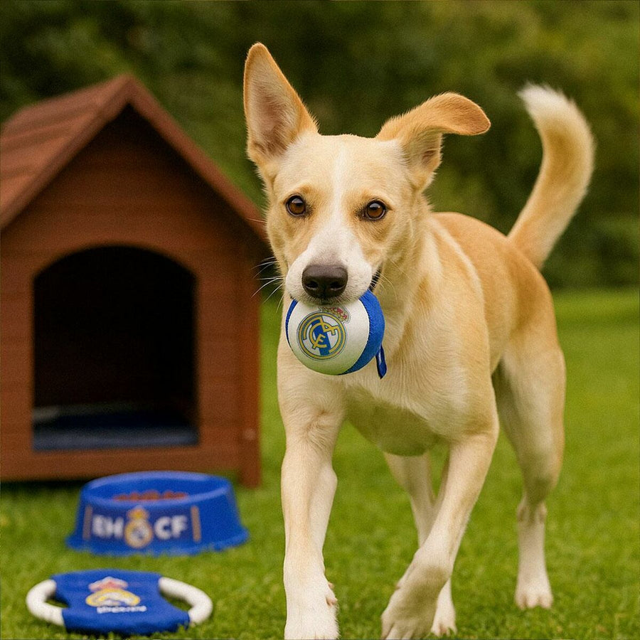 V3HB76375FE3171351623D1321E5B729C77R7026801P8