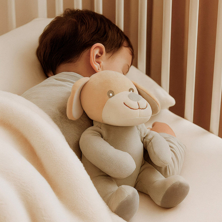 V3H5DE622968FECE91CC025B850FB516598R7245236P6